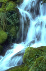 eau de source