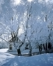 Hiver ensoleillé